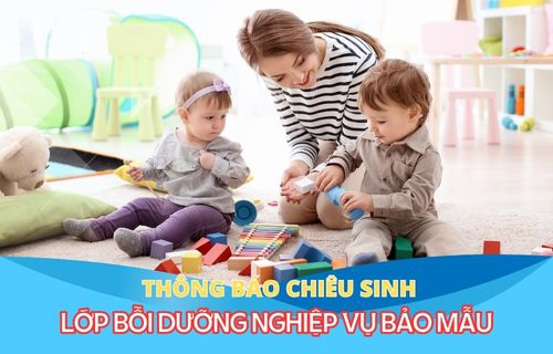 Nghiep Vu Bao Mau